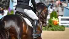 We Need Jumping Class Limits Now To Prevent Overuse of Horses