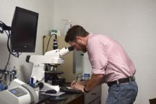 ICSI in Sport Horse Breeding: Your Questions Answered, Plus AGDF 7 and 8 Winners