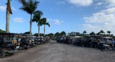 Leone Equestrian Law Newsletter: Children Driving Golf Carts and the Liabilities Surrounding Dogs and Horses