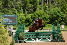 Well Played and Jennifer Jones Hit the Right Note for Grand Hunter Championship at Saratoga Classic I
