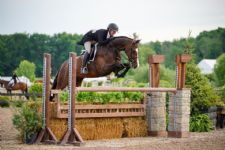 Sheptoff and Shipman Successful in Hunter Derbies at Saratoga June Classic I