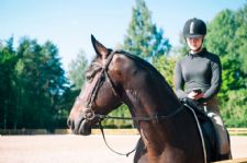 Leone Equestrian Law Newsletter: Why Distracted Riding Is as Dangerous as Distracted Driving