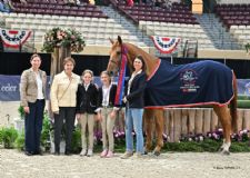 Get Set To Enter July 28 for the Connaway & Associates North American-Bred Horse Award at the 2026 Capital Challenge Horse Show